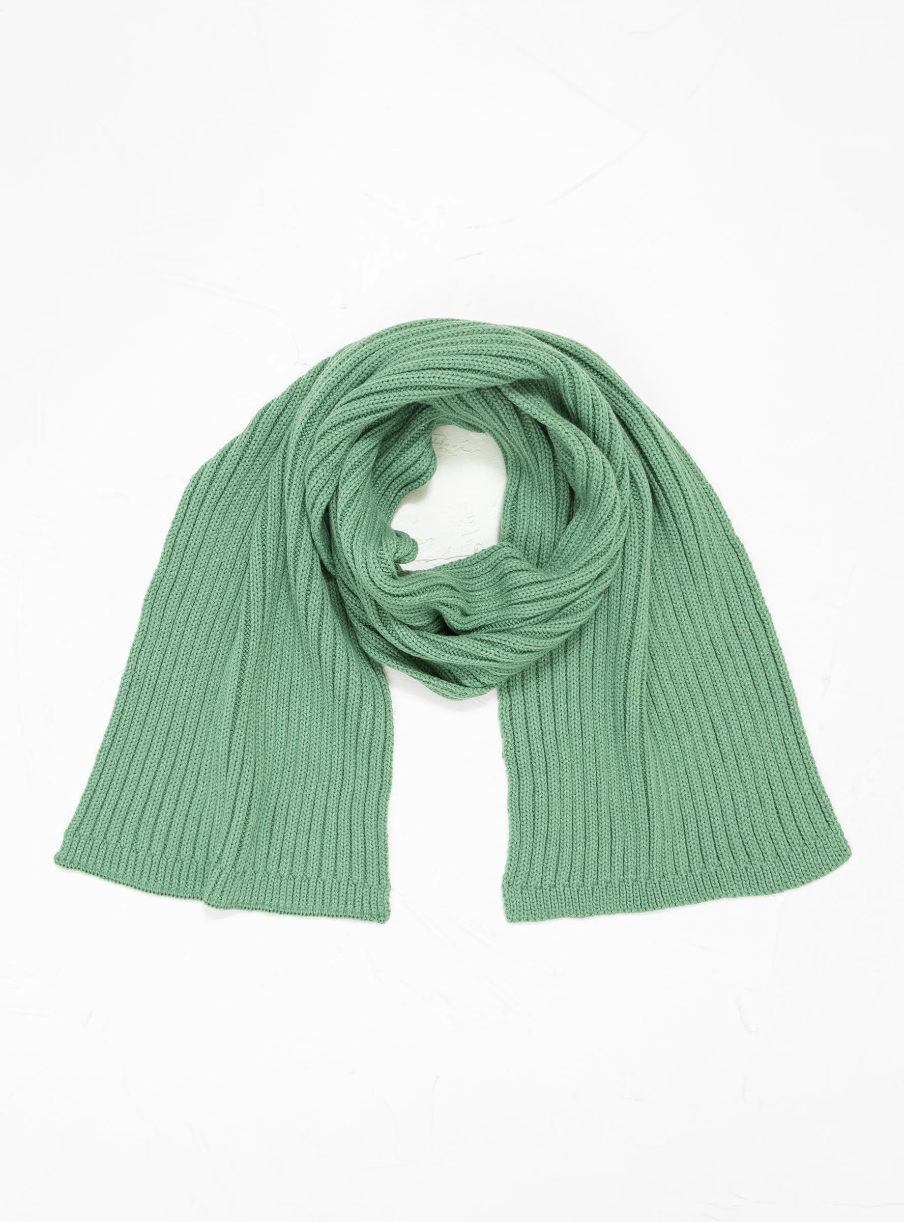 Cozy Chunky Rib Muffler Scarf Light Green